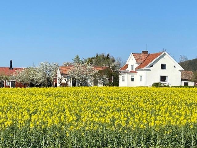 Apartamento Boende I Uppgraenna Med Panoramautsikt Exterior foto